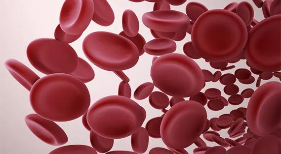 platelets_690 x 380