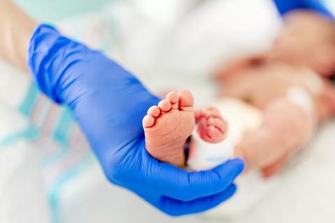 clinician holding baby foot in NICU