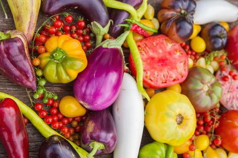 Assortment of nightshade vegetables, including eggplants, tomatoes and peppers