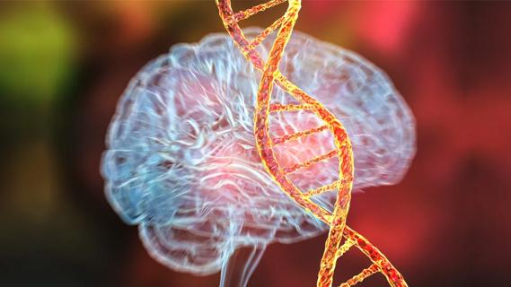 DNA double helix superimposed on transparent human brain