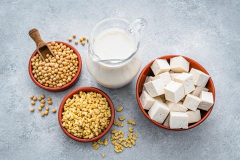 Variety of soy products like soy milk, soy beans, textured soy and tofu