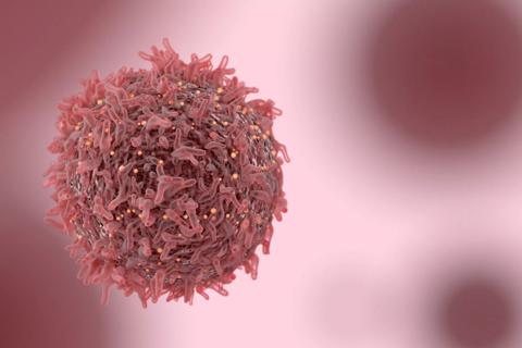 Breast cancer cell