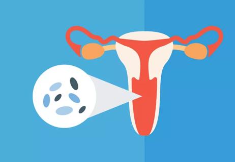 uterine infections