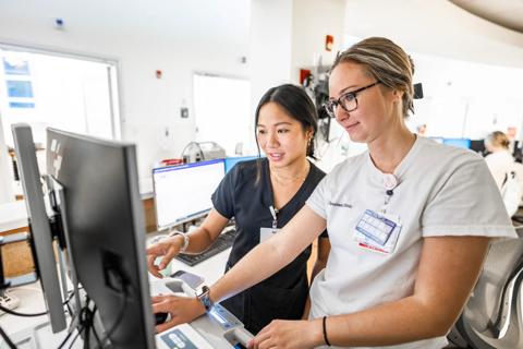 Nurses at computer
