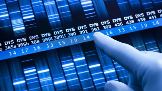 Genomic profiling