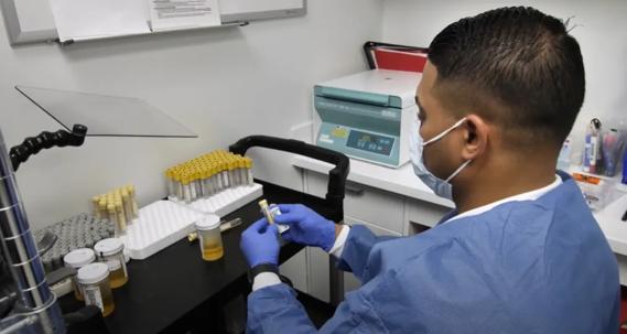 Glenn Werneburg, MD, PhD working with urine samples in a lab.