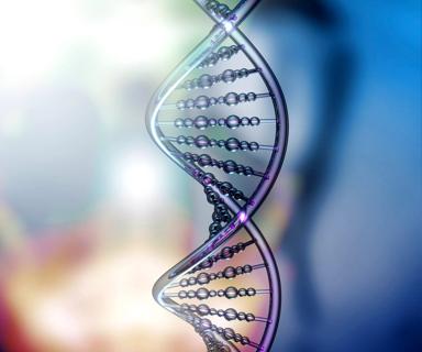 DNA strand