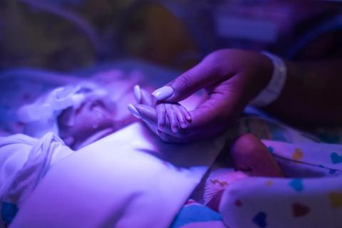 Caregiver holding neonate's hand in the NICU