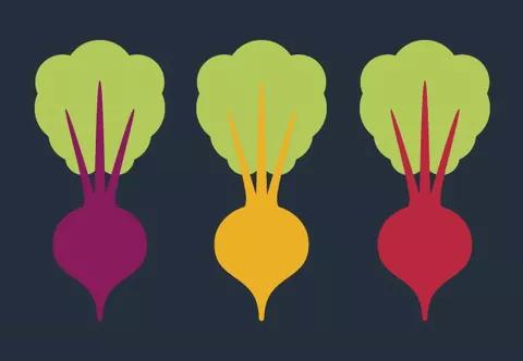 Infographic showing what gives beets their striking colors