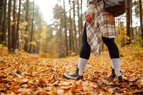 Legs of person walking through the woods in the fall