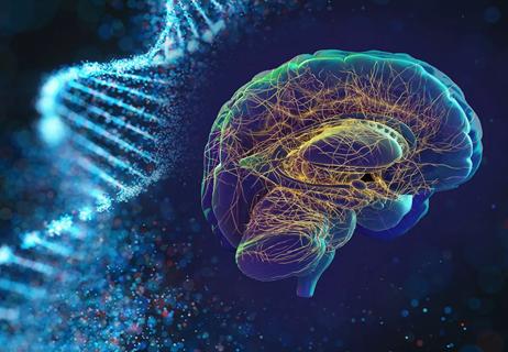 genetics and alzheimer's disease