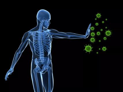 Immune system
