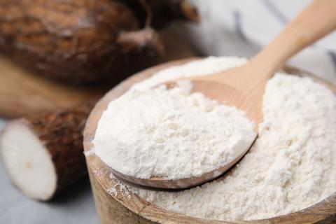 Ground cassava flour in wooden bowl with wooden spoon, with cassava root/yuca nearby