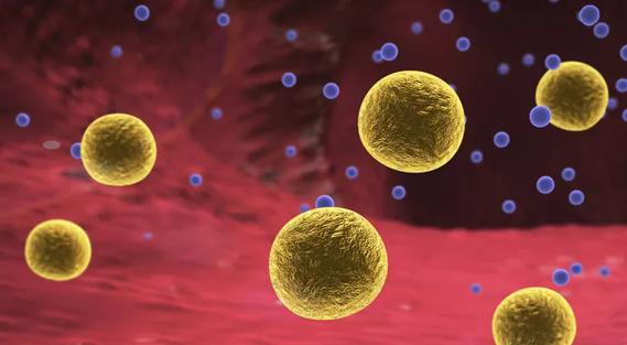 Cholesterol-690&#215;380