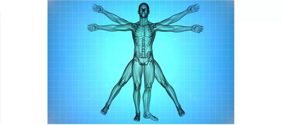 X-ray depiction of the Vitruvian man