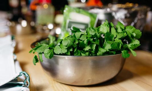 Cilantro in a metal bowl in kitchen