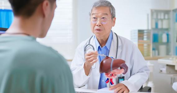 physician using model of liver