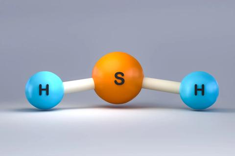 Hydrogen sulfide