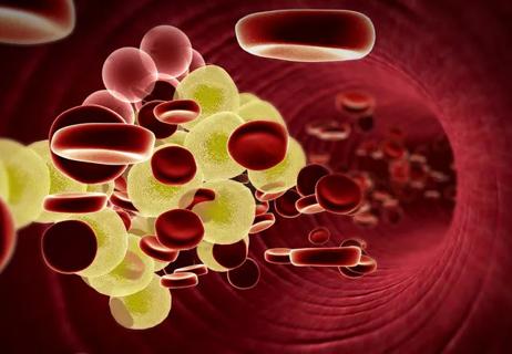 Illustration of LDL cholesterol in the bloodstream.