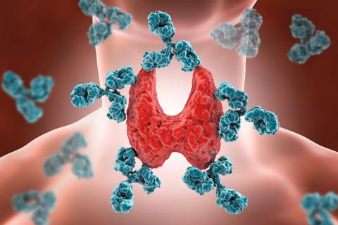 thyroid