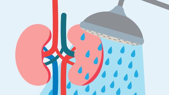 Water from showerhead flowing over kidneys, cleansing them