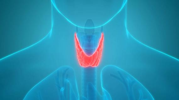 What’s the Difference Between Hypothyroidism and Hyperthyroidism?