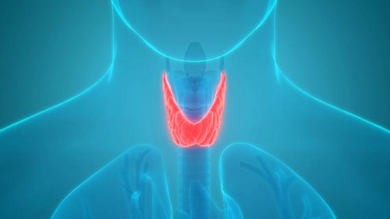 What’s the Difference Between Hypothyroidism and Hyperthyroidism?