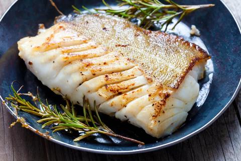 Plate of fresh grilled fish