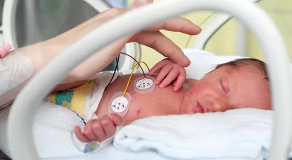 august-baby-690×380