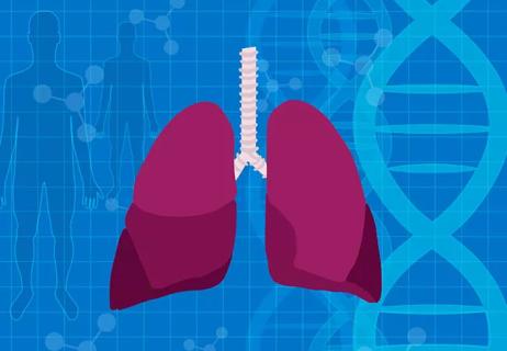 A visual representation of the intricate connection between our respiratory system and genetic makeup.