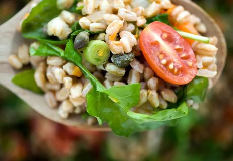 Spoonful of farro salad with tomato
