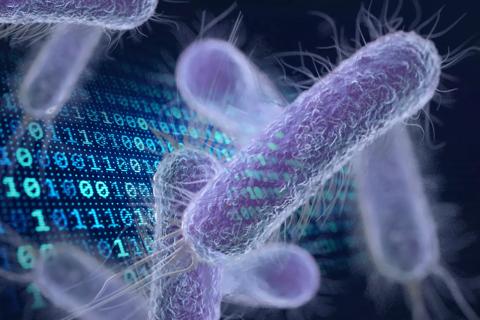 UTI bacteria and artificial intelligence