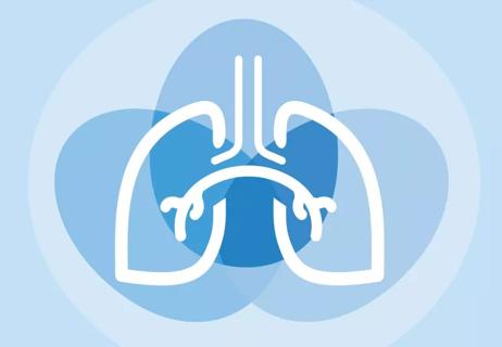 Illustration of lungs gathering air