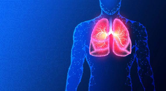 Lung Tissue Engineering in Regenerative Medicine and Pneumology &#8211; Conceptual Illustration