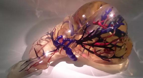 3D-Printed-Liver_690x380