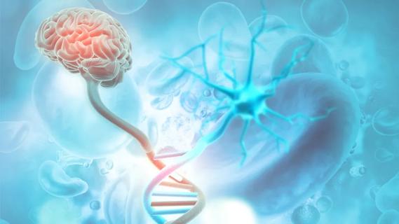 genetics and alzheimer's disease