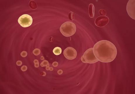 LDL cholesterol particles floating in bloodstream