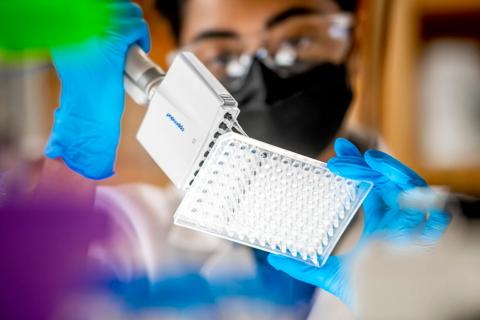 Genetic testing