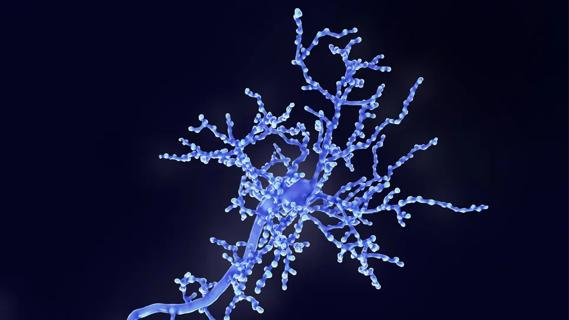 Medical illustration of microglia