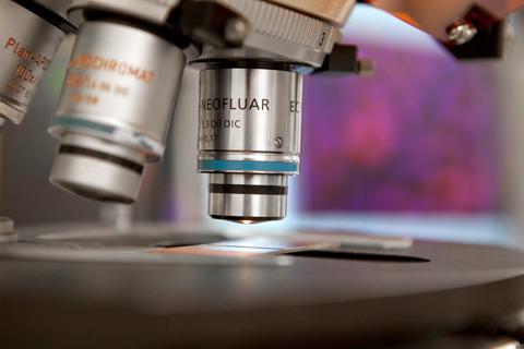 Microscope