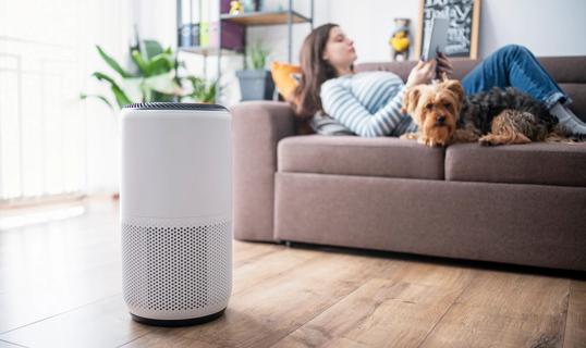 Person and their dog lying on the couch, with air purifier running