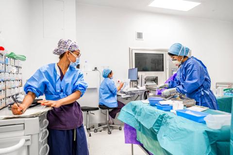 Nurses in surgery