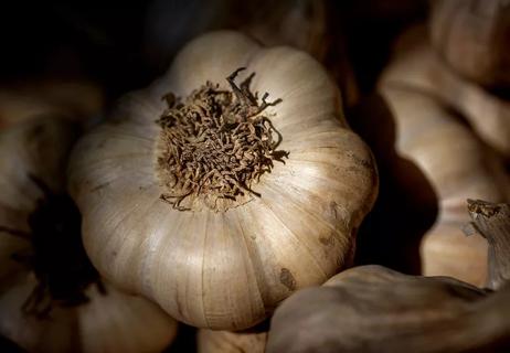 A large clove of unpeeled garlic