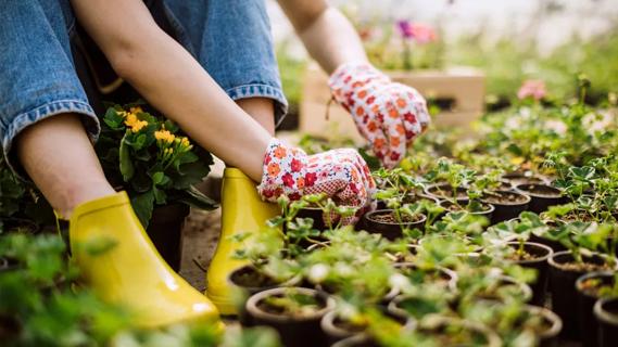 Gardening and wellness