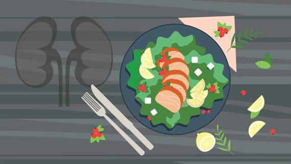 Salad topped with chicken breast and lemon slices, with kidneys silhouetted alongside