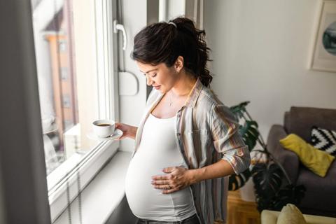 Pregnant woman holding a cup of coffee,standing near window, with hand on her belly.