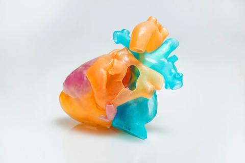 3D heart