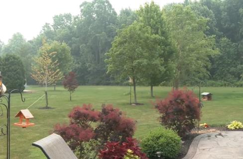 Backyard of house