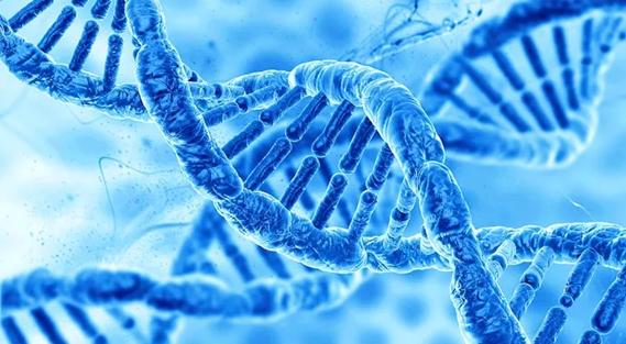 GeneticTesting-690&#215;380