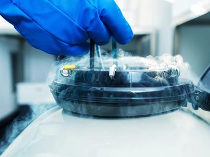 Fertility freezing